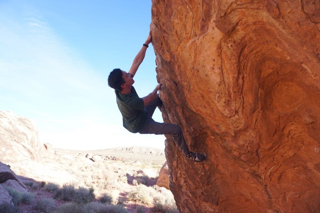 Will climbing