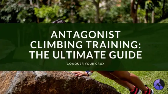 Antagonist Climbing Training: The Best Guide