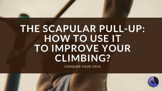 The Scapular Pull-Up: How to Use it to Improve Your Climbing?