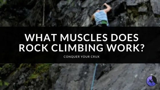 What Muscles Does Rock Climbing Work?